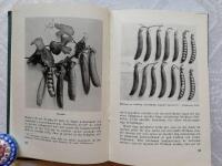 Baljv&auml;xter, gurkor och tomater 