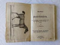 Handbok i H&auml;stsk&ouml;tseln - En Praktisk Hjelpreda f&ouml;r Landthush&aring;llare, Djurl&auml;kare och H&auml;stw&auml;nner