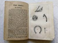 Handbok i H&auml;stsk&ouml;tseln - En Praktisk Hjelpreda f&ouml;r Landthush&aring;llare, Djurl&auml;kare och H&auml;stw&auml;nner