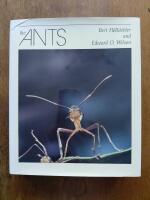 The Ants