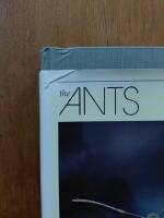 The Ants