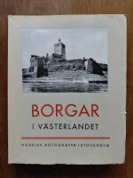Borgar i V&auml;sterlandet - Ursprung och typutveckling under medeltiden
