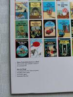 Tintin in the Congo - The Adventures of Tintin