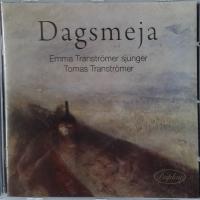 Dagsmeja