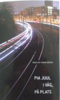 I v&auml;g, p&aring; plats : noveller, episoder