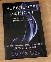 Pleasures of the night (Dream Guardians Book 1)
