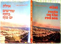 Eilat roots on the Red sea