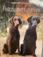 Flatcoated retriever
