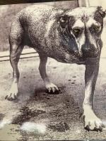 Alice in Chains (2 x vinyl)