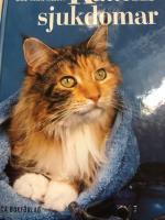 Kattens sjukdomar