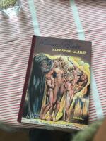 Eldf&auml;ngd gl&auml;dje