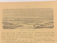 Tr&auml;snitt &rdquo;Tundra i Sibirien&rdquo; fr&aring;n 1891