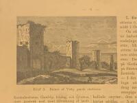 Tr&auml;snitt &rdquo;Ruiner af Visby gamla stadsmur&rdquo; fr&aring;n 1891