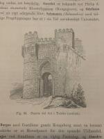 Tr&auml;snitt &rdquo;Puerta del Sol i Toledo&rdquo; fr&aring;n 1878