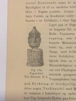 Tr&auml;snitt &rdquo;Idol fr&aring;n Papua Guinea&rdquo; fr&aring;n 1878