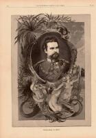 Tr&auml;snitt &rdquo;Bayerns d&ouml;de kung Ludvig II&rdquo; fr&aring;n 1886