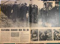 Retro-artikel &rdquo;Tyska krigsf&aring;ngar kommer hem&rdquo; fr&aring;n 1949