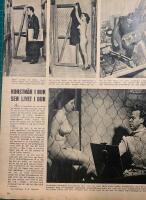 Retro-artikel &rdquo;Konst&auml;ren Folke Jupiter i sin mini-atelj&eacute;&rdquo; fr&aring;n 1949