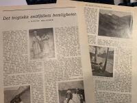 Retro-artikel &rdquo;Indianer i Colombia&rdquo; fr&aring;n 1916