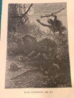 Tr&auml;snitt &rdquo;Lejon attackerar &auml;ventyraren David Livingstone&rdquo; fr&aring;n 1884 