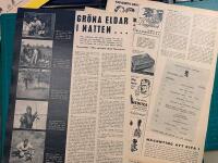 Retro-artikel &rdquo;Svensk storviltsjakt i Kenya&rdquo; fr&aring;n 1953