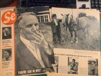 Retro-artikel &rdquo;P&aring; g&aring;rden hemma hos partiledaren Gunnar Hedlund&rdquo; fr&aring;n 1953