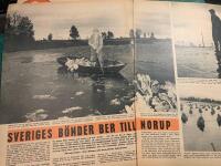 Retro-artikel &rdquo;Rekordd&aring;lig sk&ouml;rd p&aring; &Ouml;land&rdquo; fr&aring;n 1952
