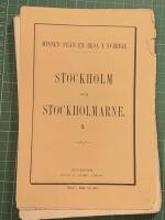 Stockholm och stockholmarne &ndash; Minnen fr&aring;n en resa i Sverige