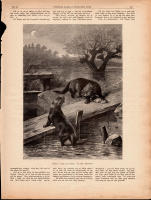 Tr&auml;snitt &rdquo;Uttrar i delo om rovet&rdquo; ur tidning fr&aring;n 1893