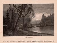 Träsnitt ”Helgasjön (Småland)” ur bok från 1888
