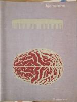 Hj&auml;rnstorm nr. 47