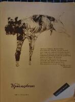 Hj&auml;rnstorm nr. 33. - Temablock Belfast