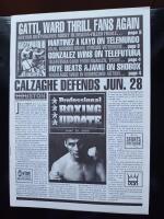 Professional Boxing Update June 10, 2003