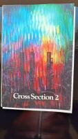 Cross section 2