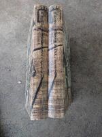 Korsriddarna Seger och vederg&auml;llning Strid och f&ouml;rr&auml;deri