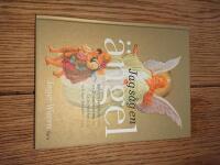 Jag s&aring;g en &auml;ngel : de b&auml;sta ber&auml;ttelserna ur M&ouml;ten med &auml;nglar, Ljus fr&aring;n himlen, och mer &auml;n sextio nya