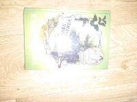 Vikingar och vampyrer