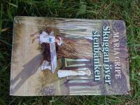 Skuggan &ouml;ver stenb&auml;nken