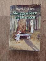 Skuggan &ouml;ver stenb&auml;nken