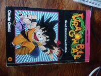 Dragon Ball 03 : Kame-Sennins kampskola