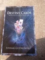 Destiny cards : en nyckel till ditt sj&auml;lsliga DNA