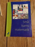 Sm&aring; barns matematik : erfarenheter fr&aring;n ett pilotprojekt  med barn 1 - 5 &aring;r och deras l&auml;rare