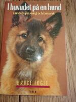 I huvudet p&aring; en hund