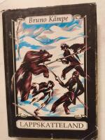 Lappskatteland : ber&auml;ttelse fr&aring;n nybyggarlivet 