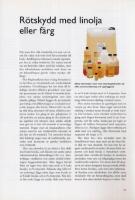 M&aring;lning och tr&auml;skydd : En praktisk r&aring;dbok