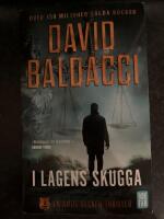 I lagens skugga