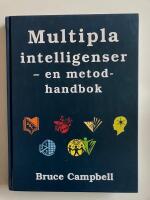 Multipla intelligenser : en metodbok
