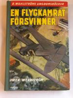 En flygkamrat f&ouml;rsvinner