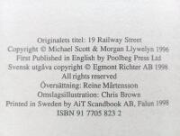 Sp&ouml;ket i k&auml;llaren / Michael Scott och Morgan Llywelyn ; &ouml;vers&auml;ttning: Reine M&aring;rtensson.
