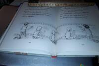 Edie fixar allt / Deb Loughead ; illustrationer av Moa Wallin ; &ouml;vers&auml;ttning av Jennie Shackleford.